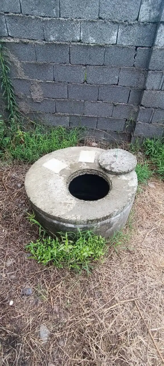 زمین باغی