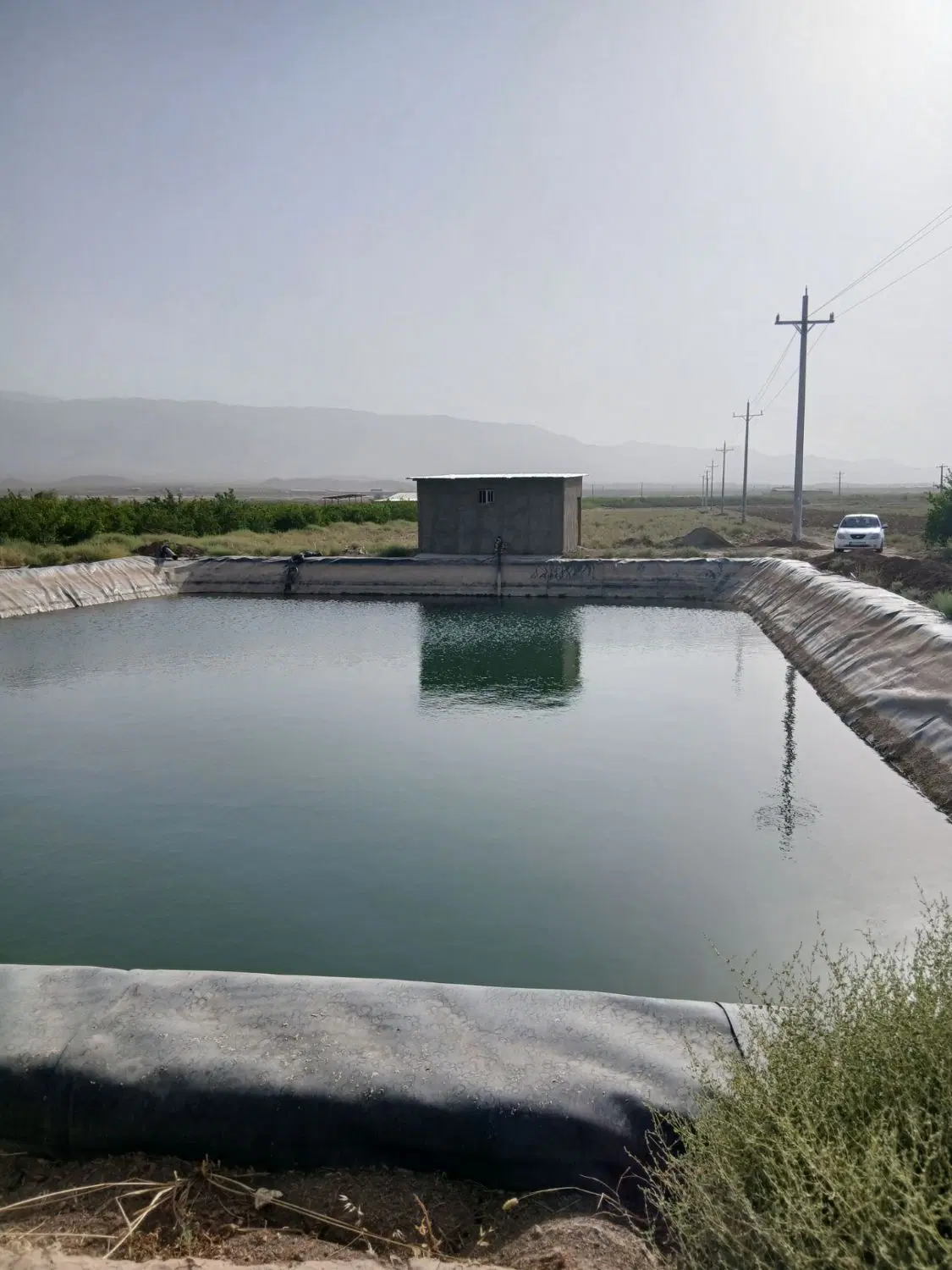 باغ و زمین