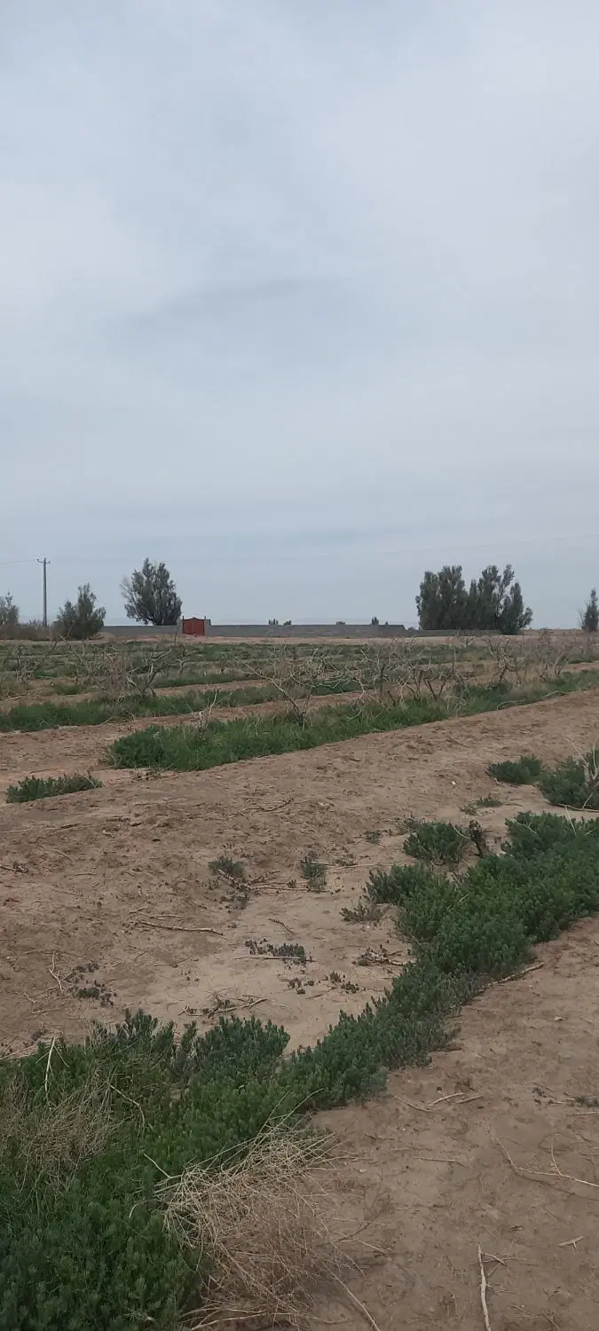 فروش زمین