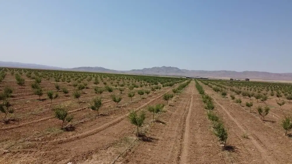 ۴۰۰۰ متر زمین کوه پهن رو به روی توانیر