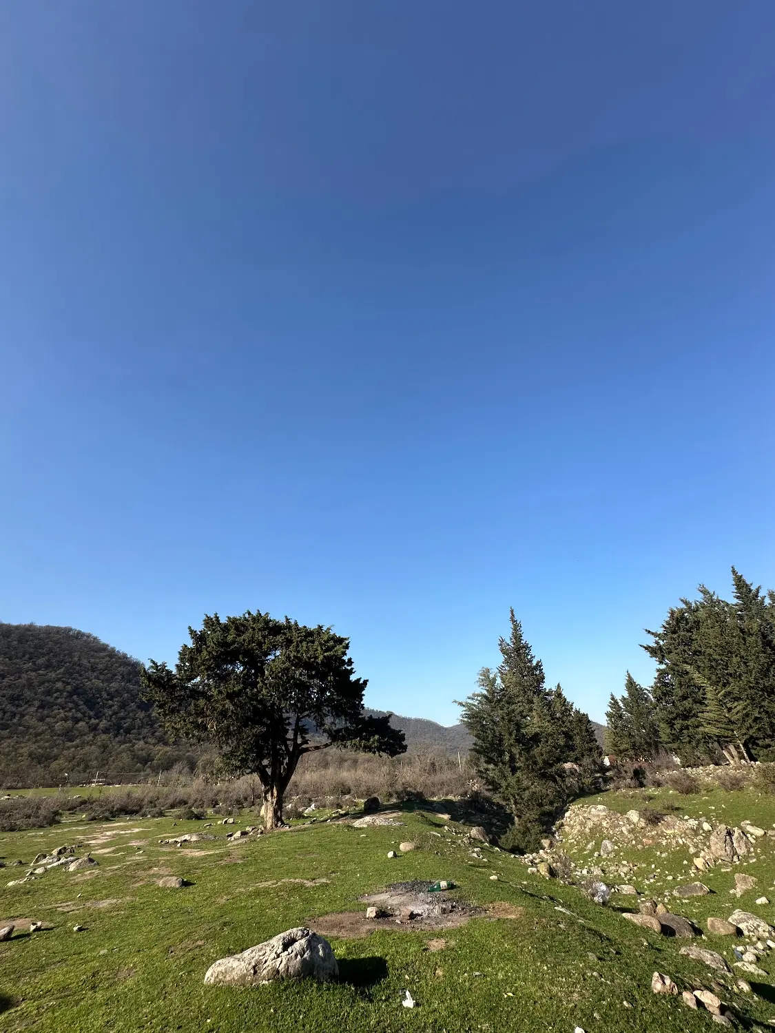 زمین ویلا
