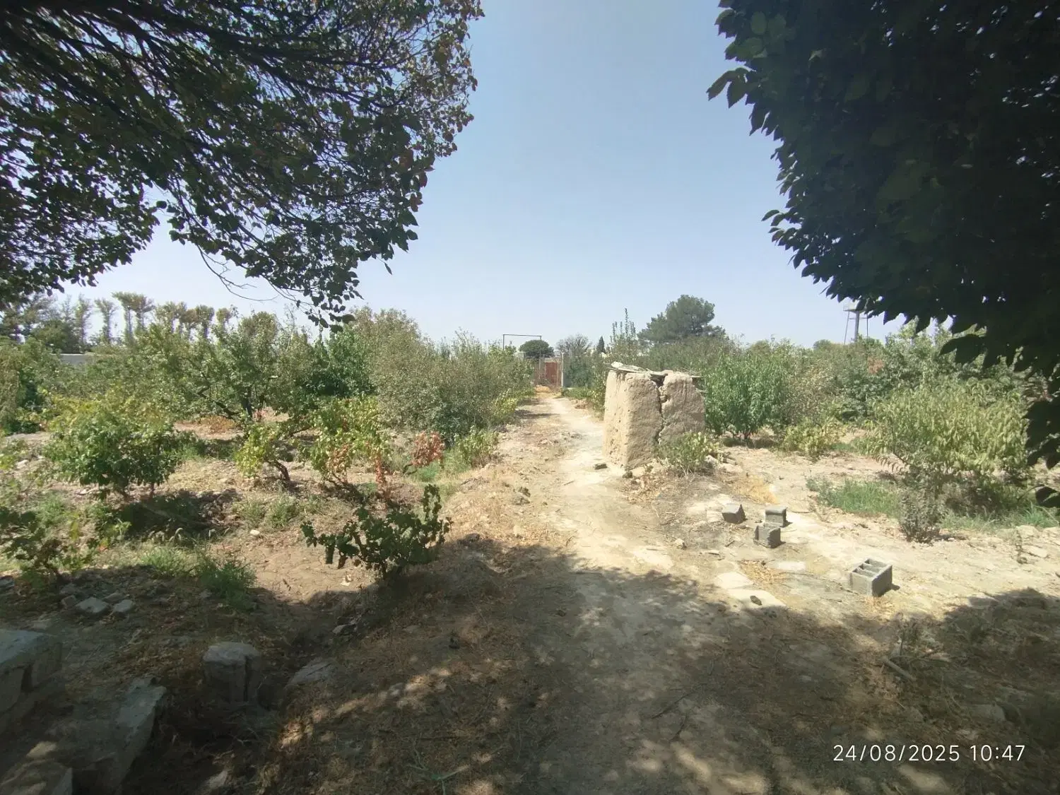 باغ ۱۳۷۰ متری