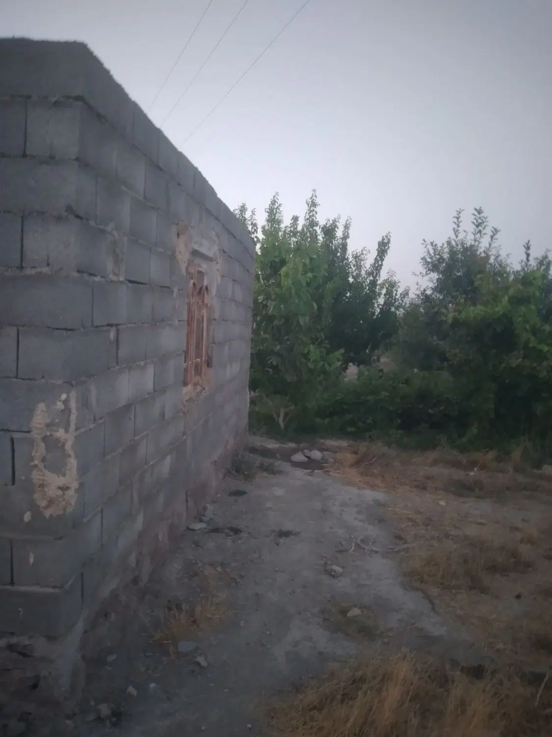 باغ ویلا