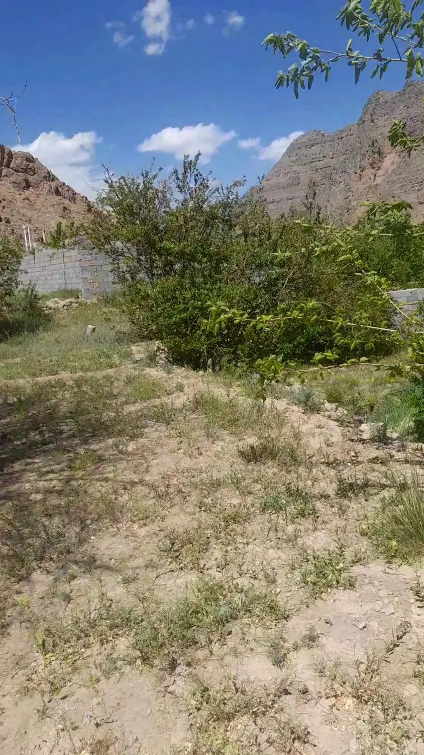 زمین