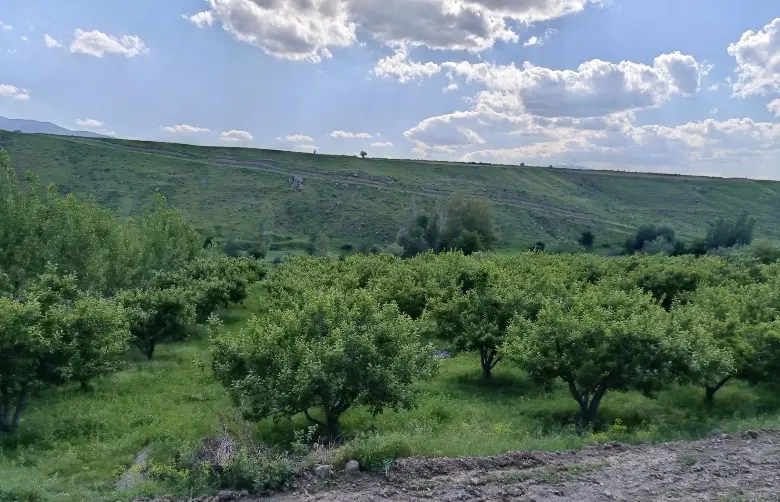 زمین148متر در روستای حیق