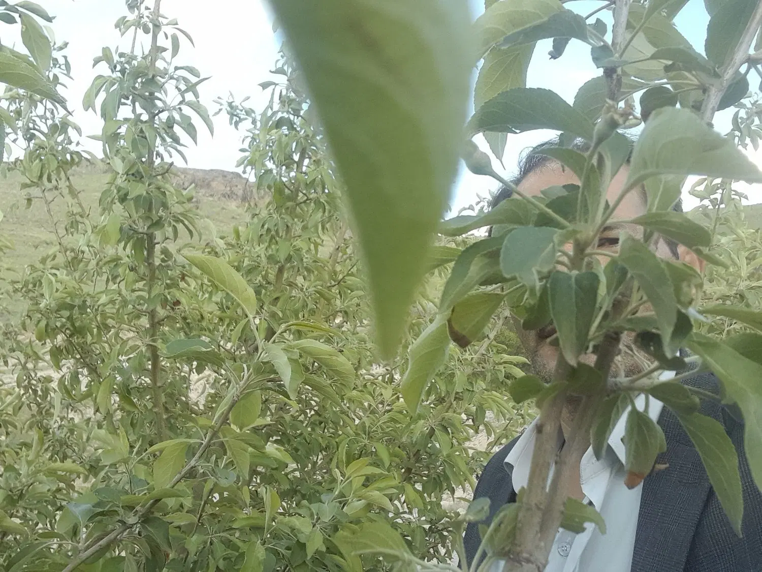 زمین واملاک