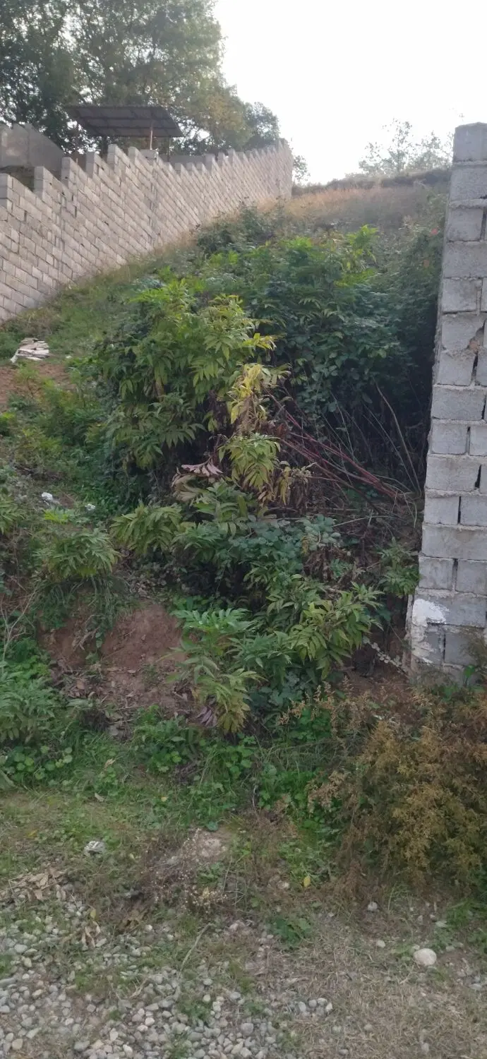 زمین مسکونی واقع در روستای سرسبز سعدآباد