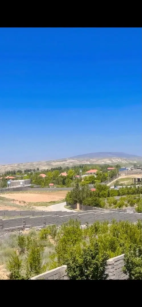 زمین درخت