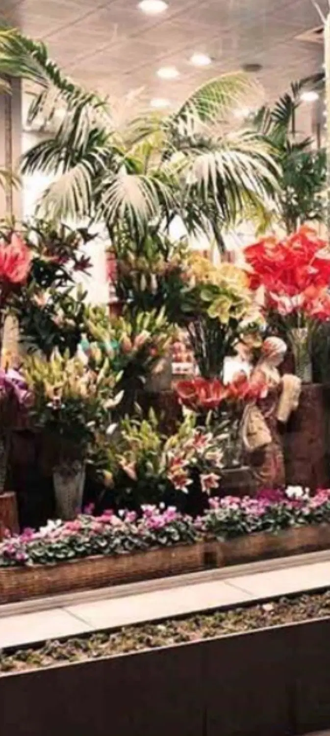 ۲۵متر مغازه تجاری سعادت آباد