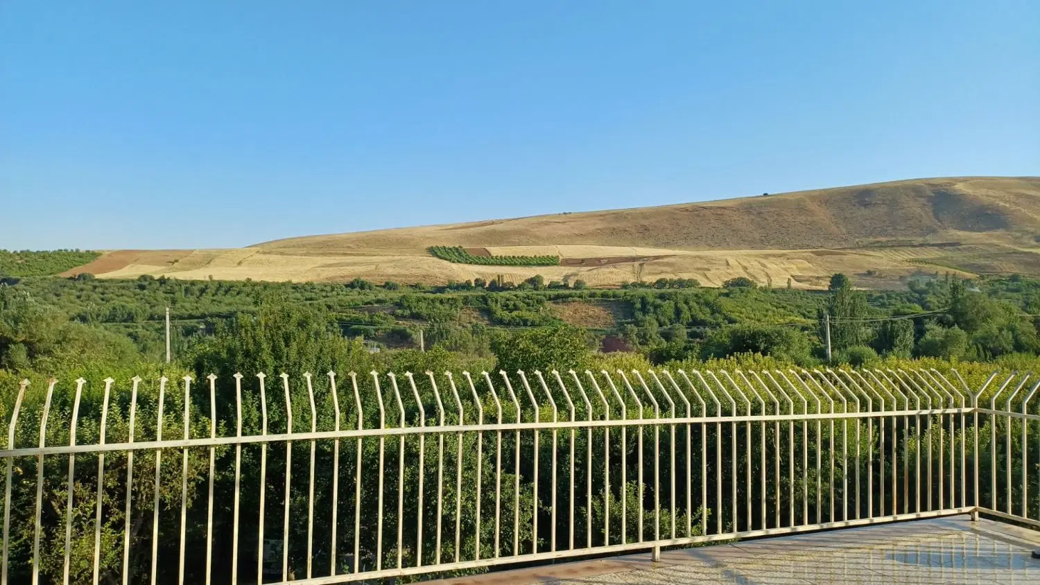 فروش باغ.باغچه.ویلا..املاک مسیر سبز