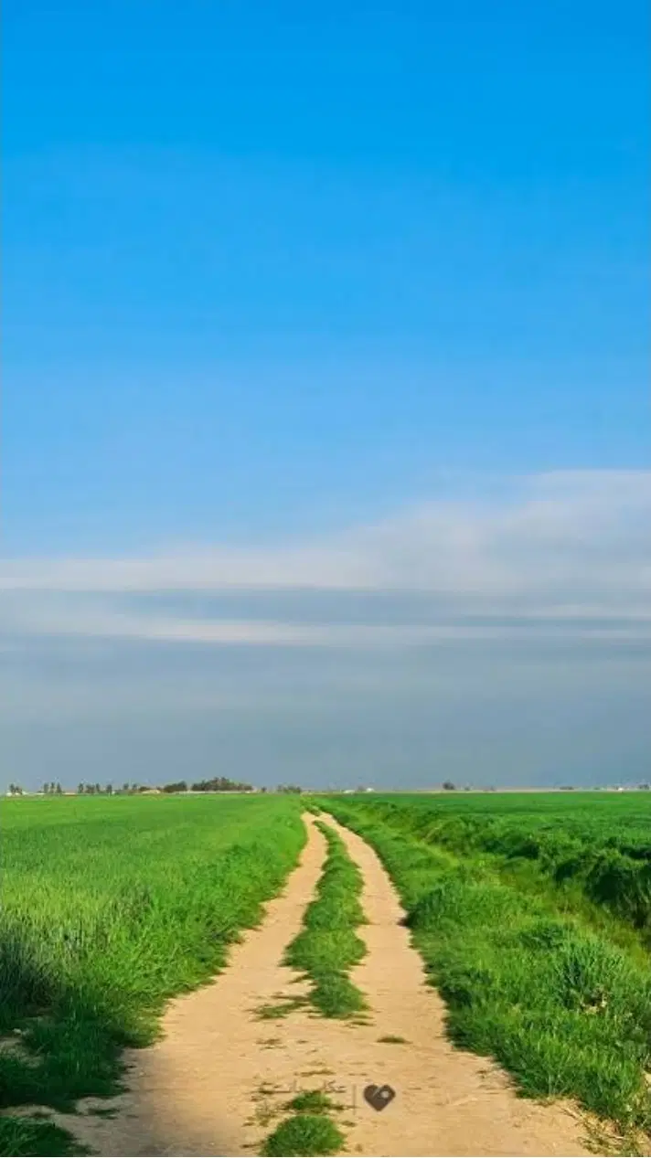 فروش مزرعه مجهز در مورچه خورت