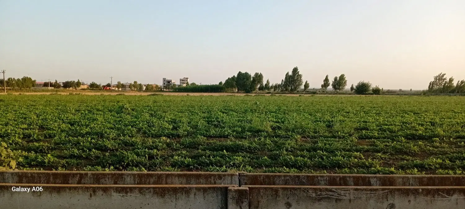 ۲هکتار،(۲۰،۰۰۰)متر۵۵میلیارد