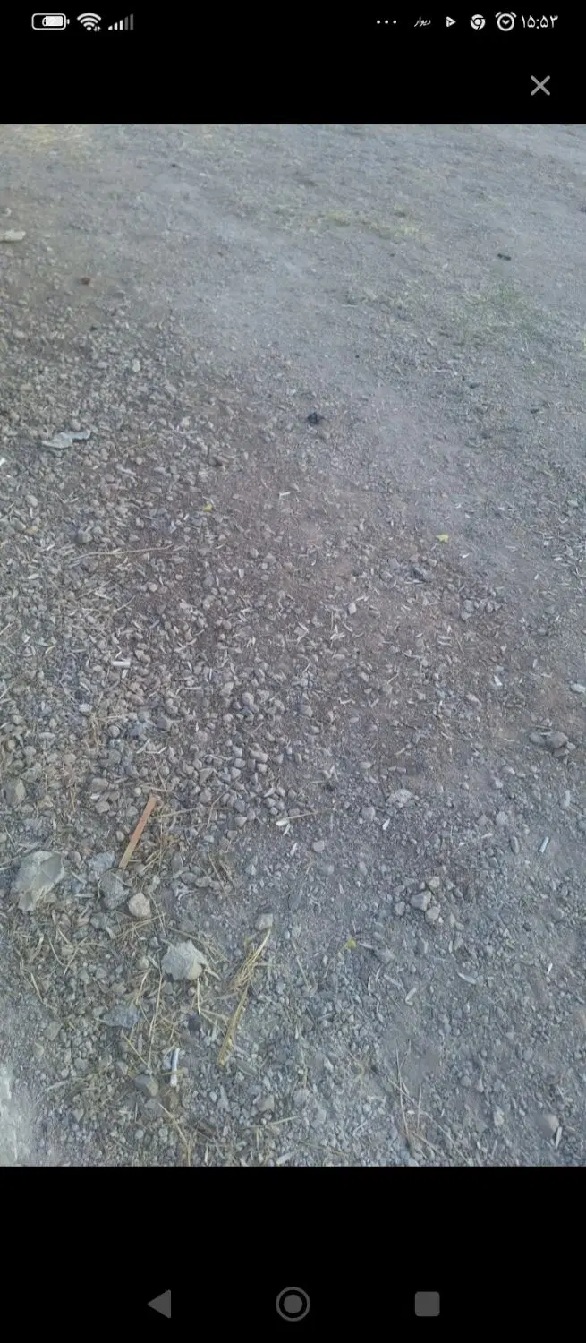 زمین کشاورزی