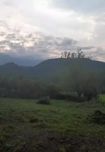 فروش زمین مسکونی سند دار دد روستای کچا استان گیلان