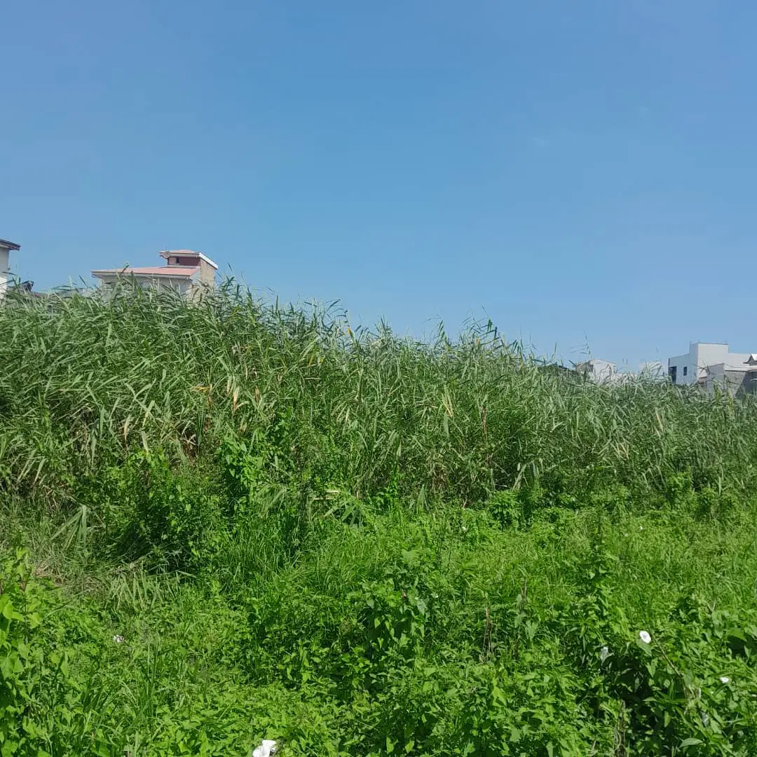 زمین ۱۲۰ متری مسکونی