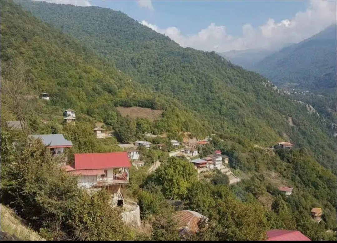 فروش زمین ییلاقی روستای نرسو علی آباد کتول