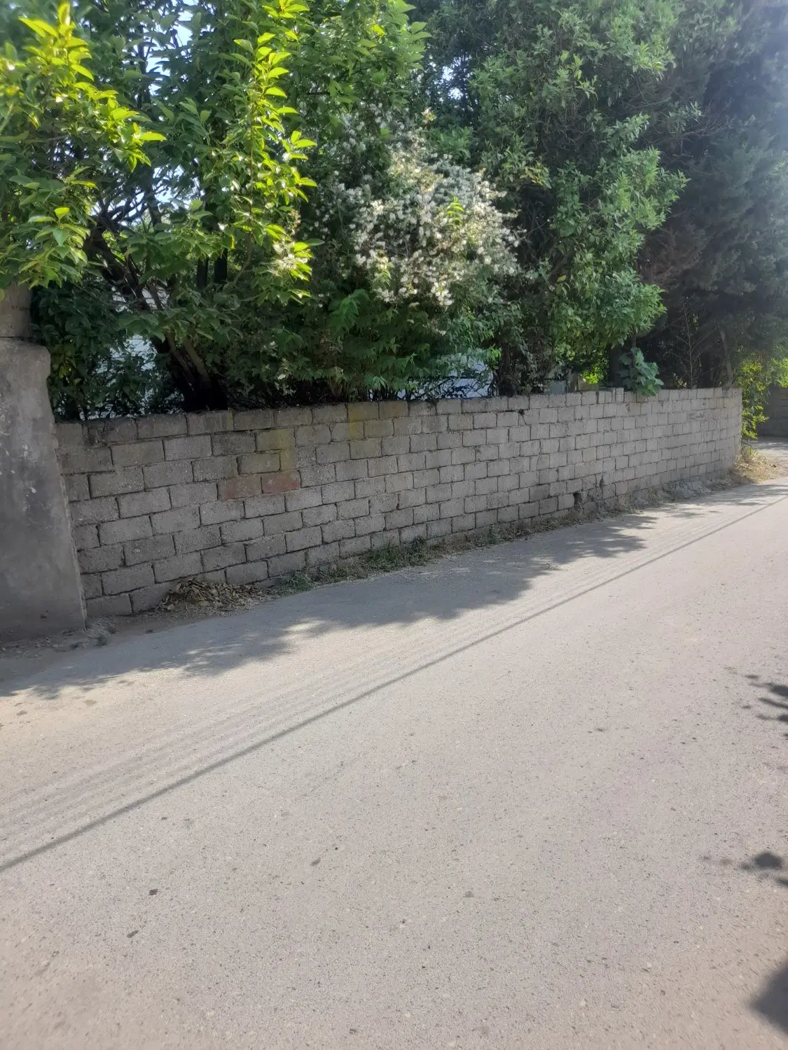 زمین کلنگی با یک خانه قابل سکونت