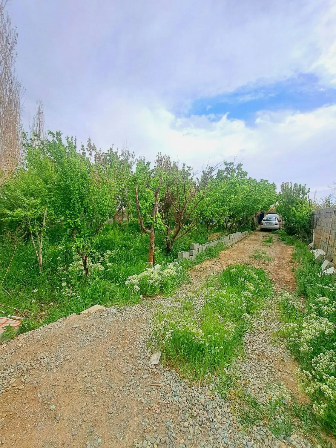باغچه ۵۰۰ متر معاوظه با واحد یا خودرو