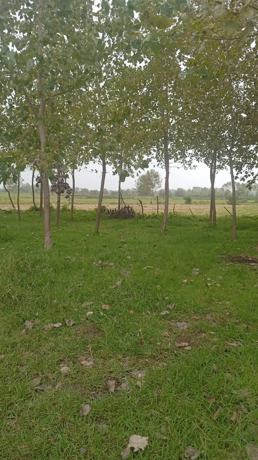 زمین مسکونی با پروانه ساخت