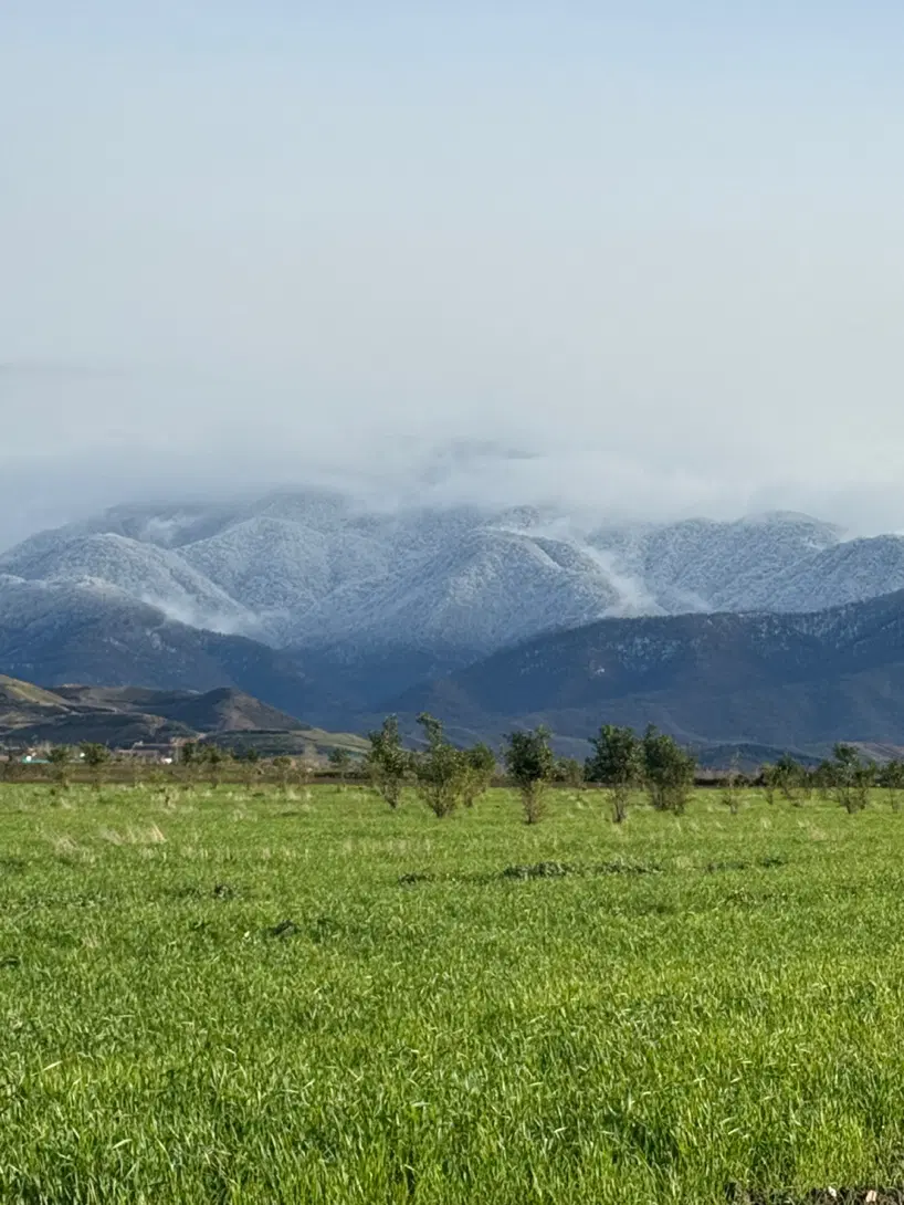 فروش مرغداری گوشتی