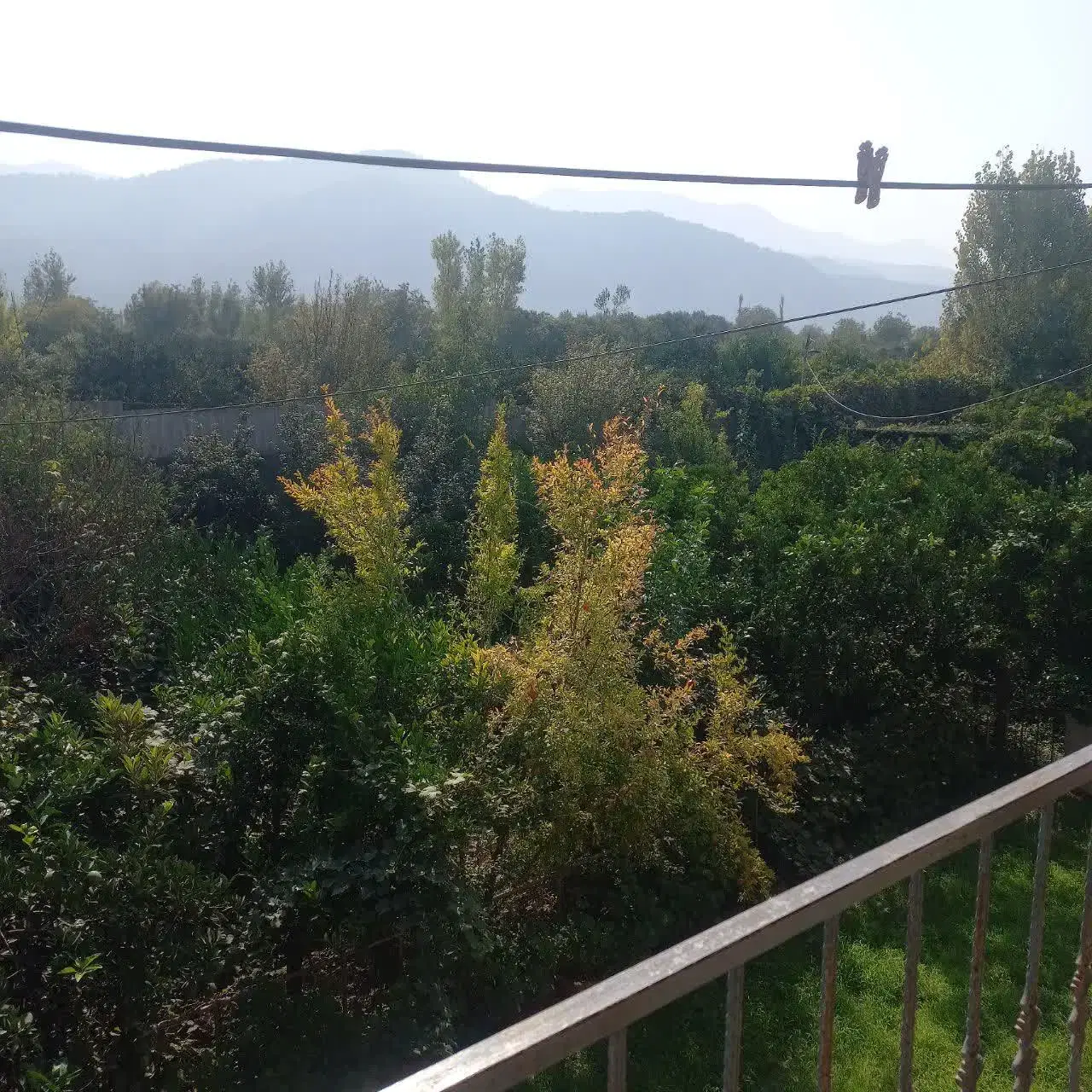 باغ ویلا 900 متری در روستای لیوان غربی