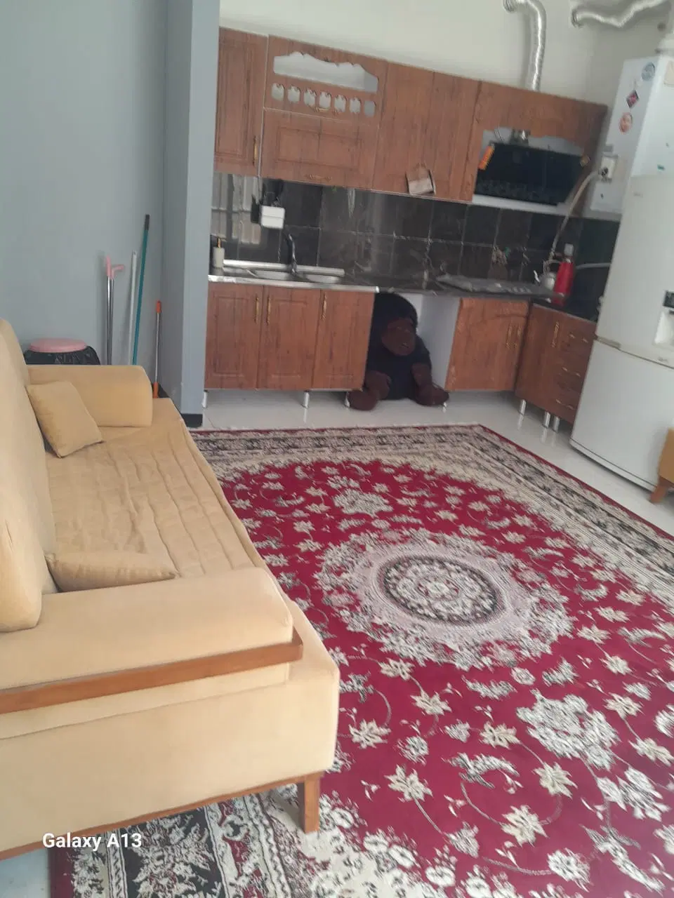 سوییت‌ اجاره