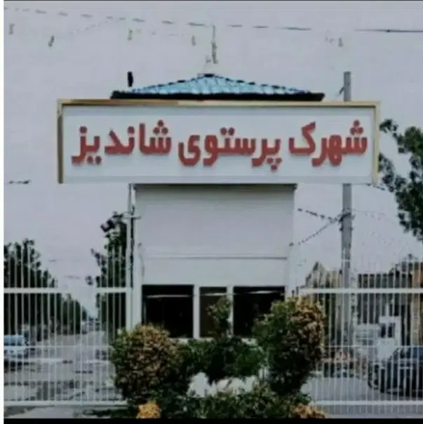 زمن در شهرک پرستو جاده شاندیز