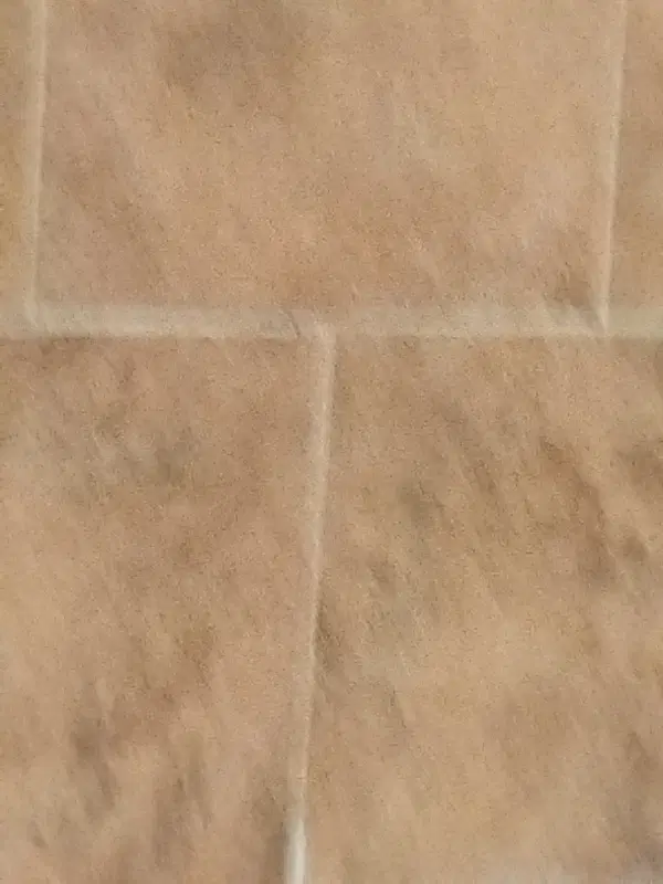 مغازه