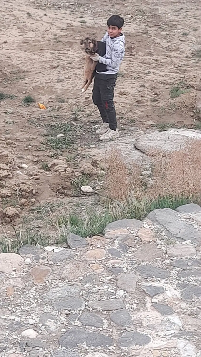 باغ