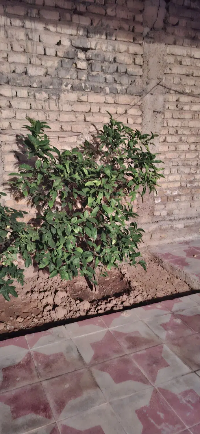منزل ویلایی شهرک سپاه