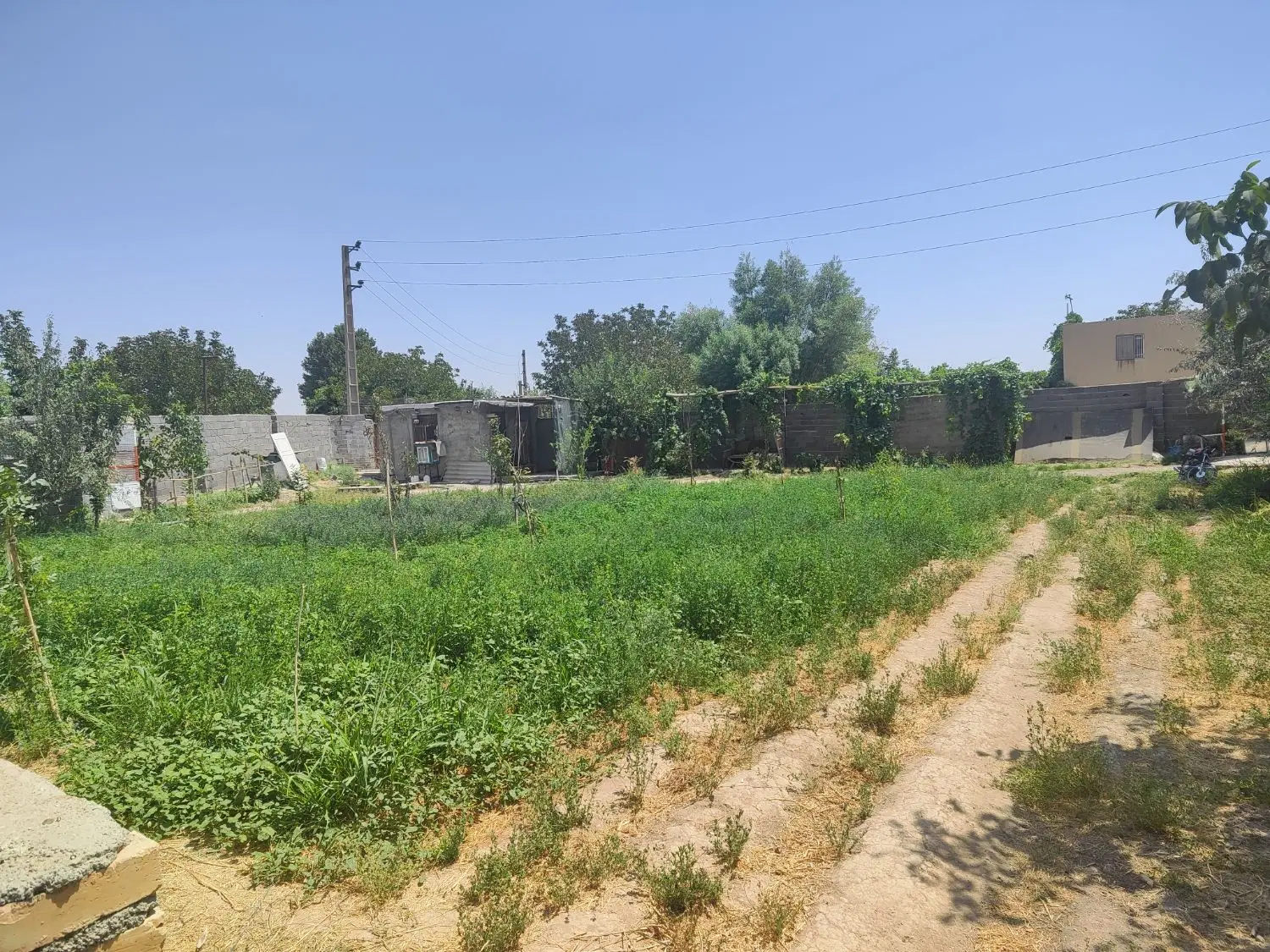 باغچه