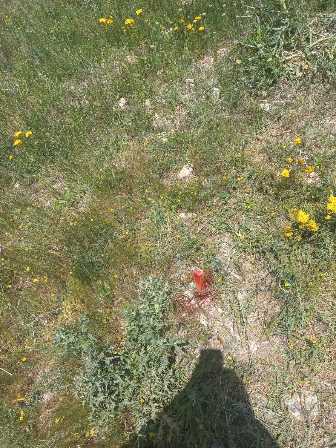 فروش زمین کشاورزی  درروستای مجره