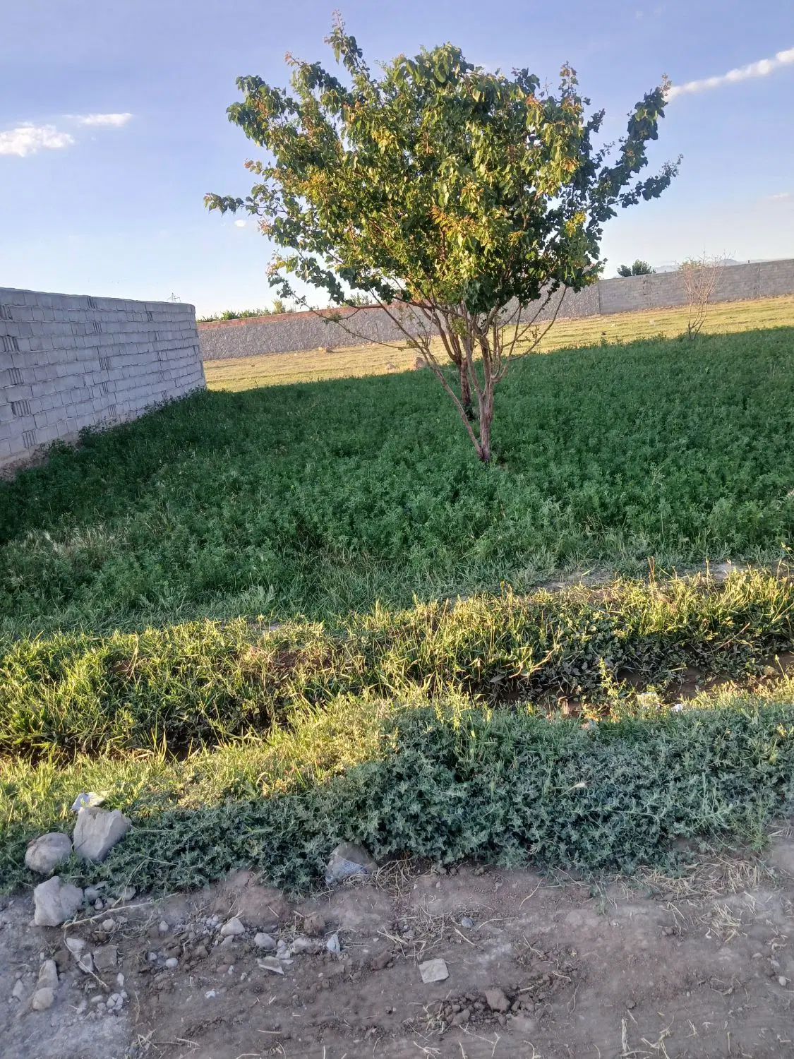 زمین ویلایی در باغ معروف