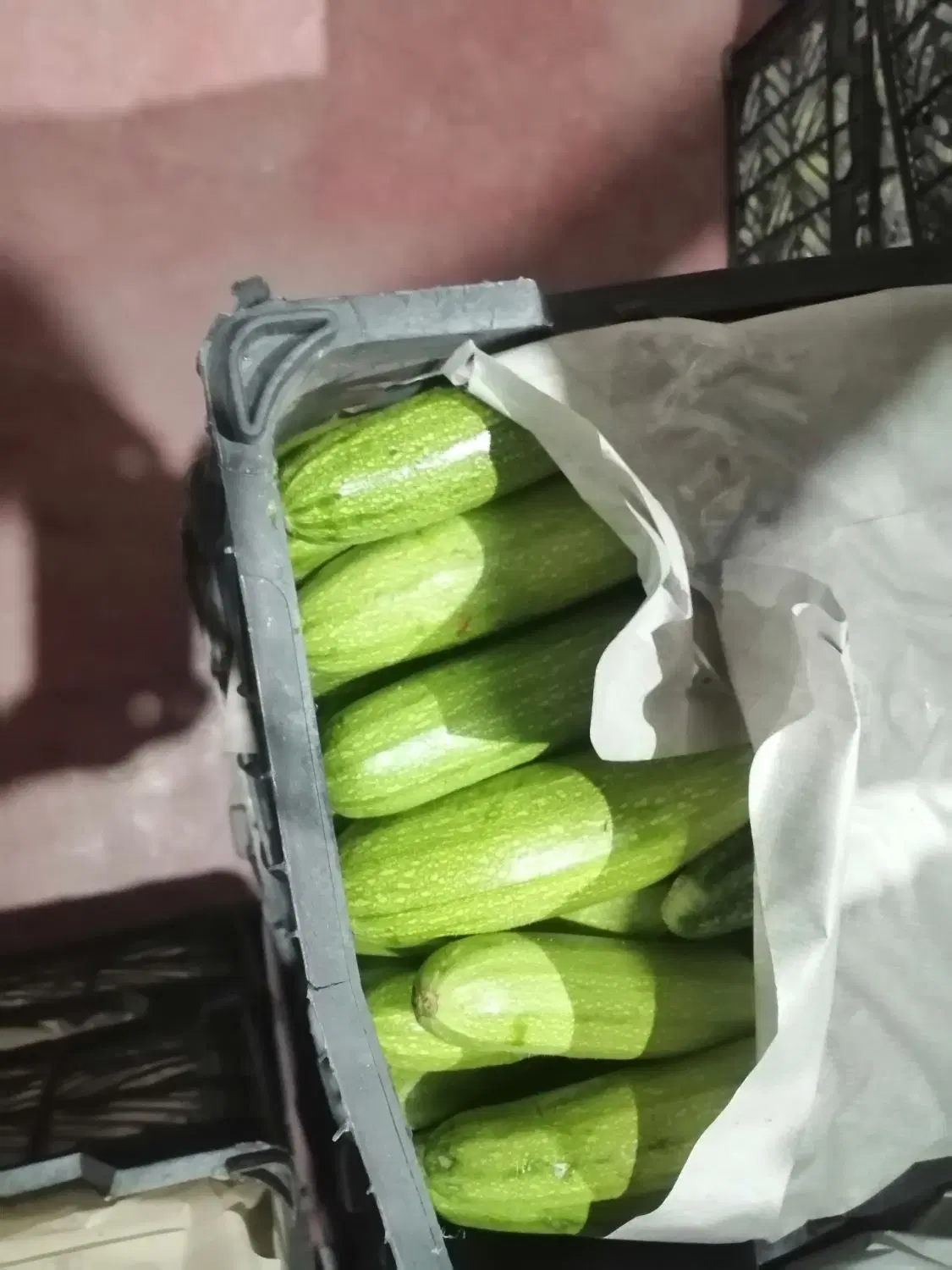 اجاره گلخانه