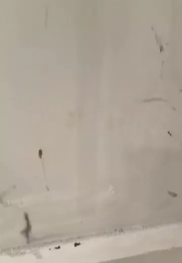 ملک تجاری سند تک برگ