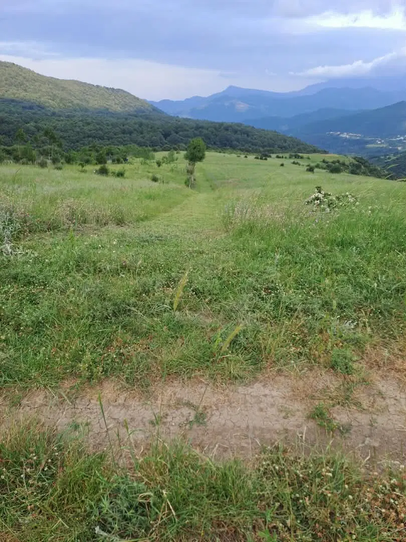 زمین باغات در روستای سرسبز ونه بین آستارا