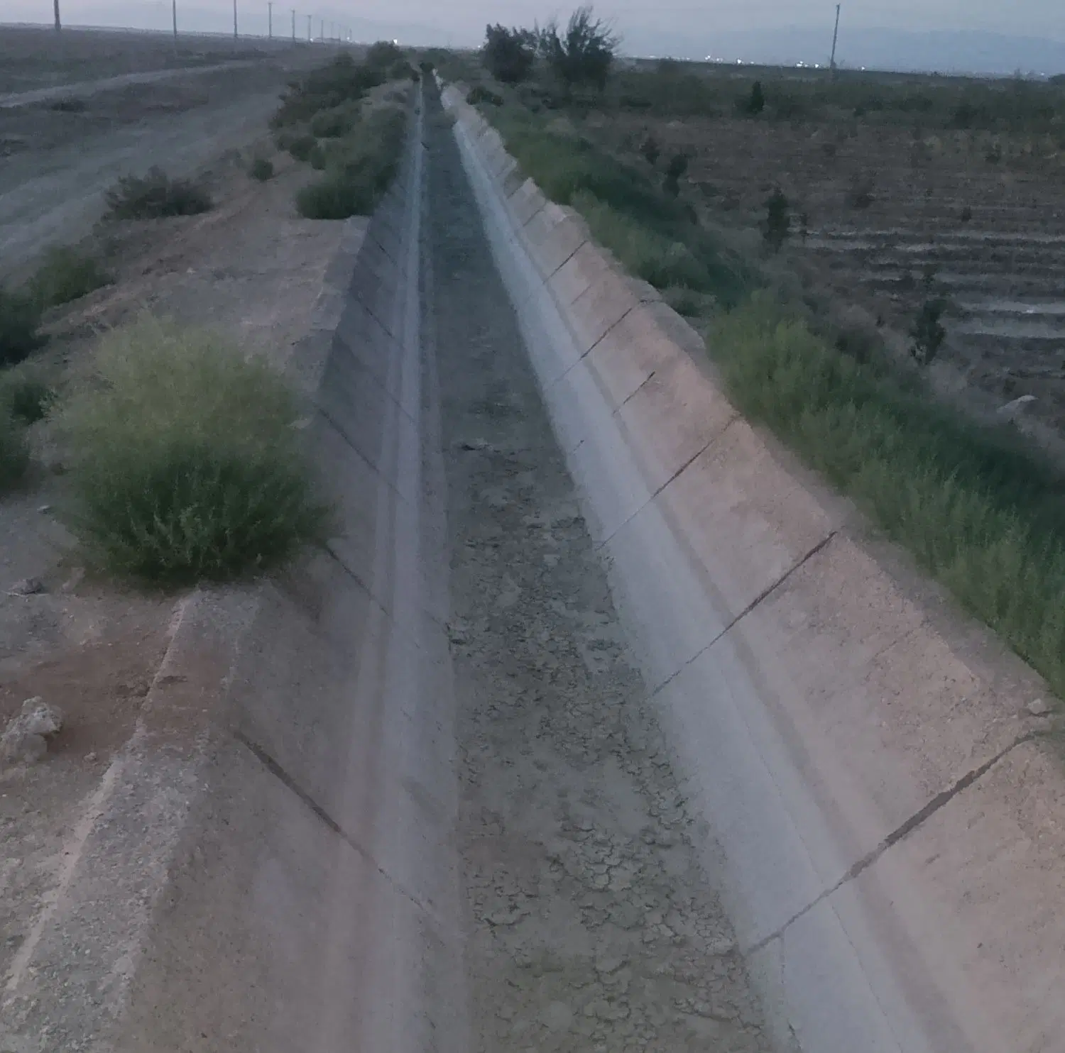 فروش باغ پسته