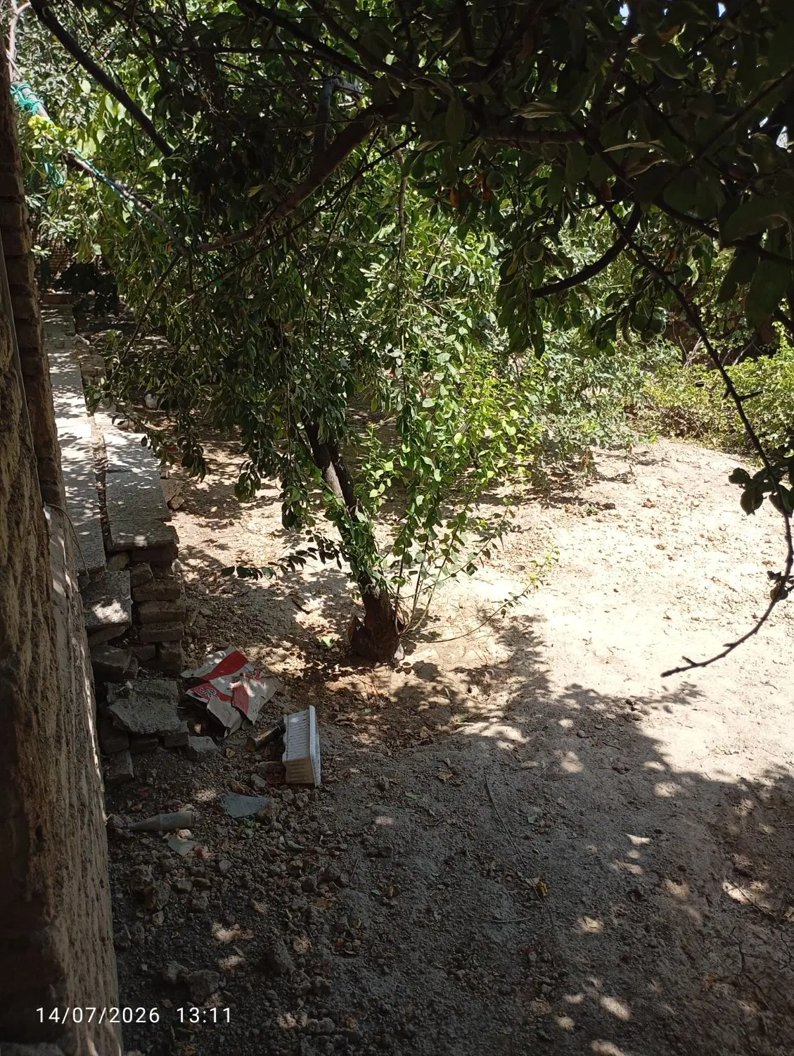 خانه باغ