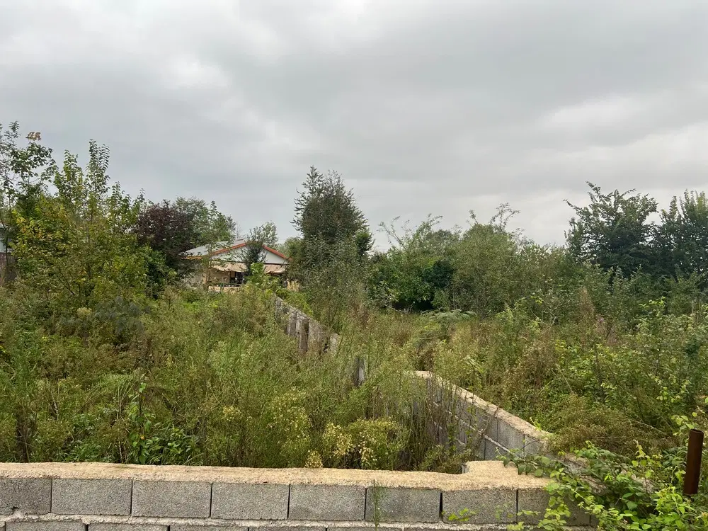 زمین باغی مسکونی