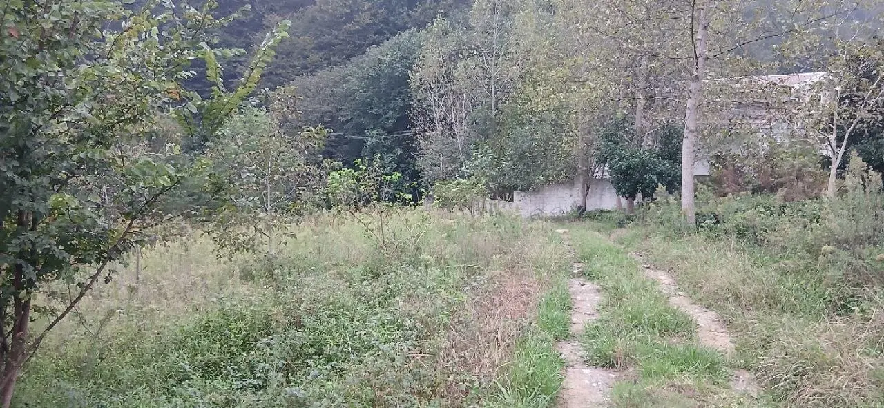 زمین باغی روستایی
