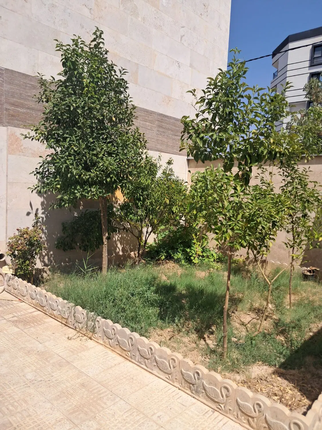 زمین محرر  ۵۸۵ متری