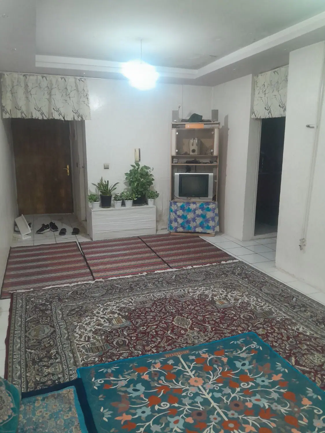 زیتون‌طبقه‌همکف