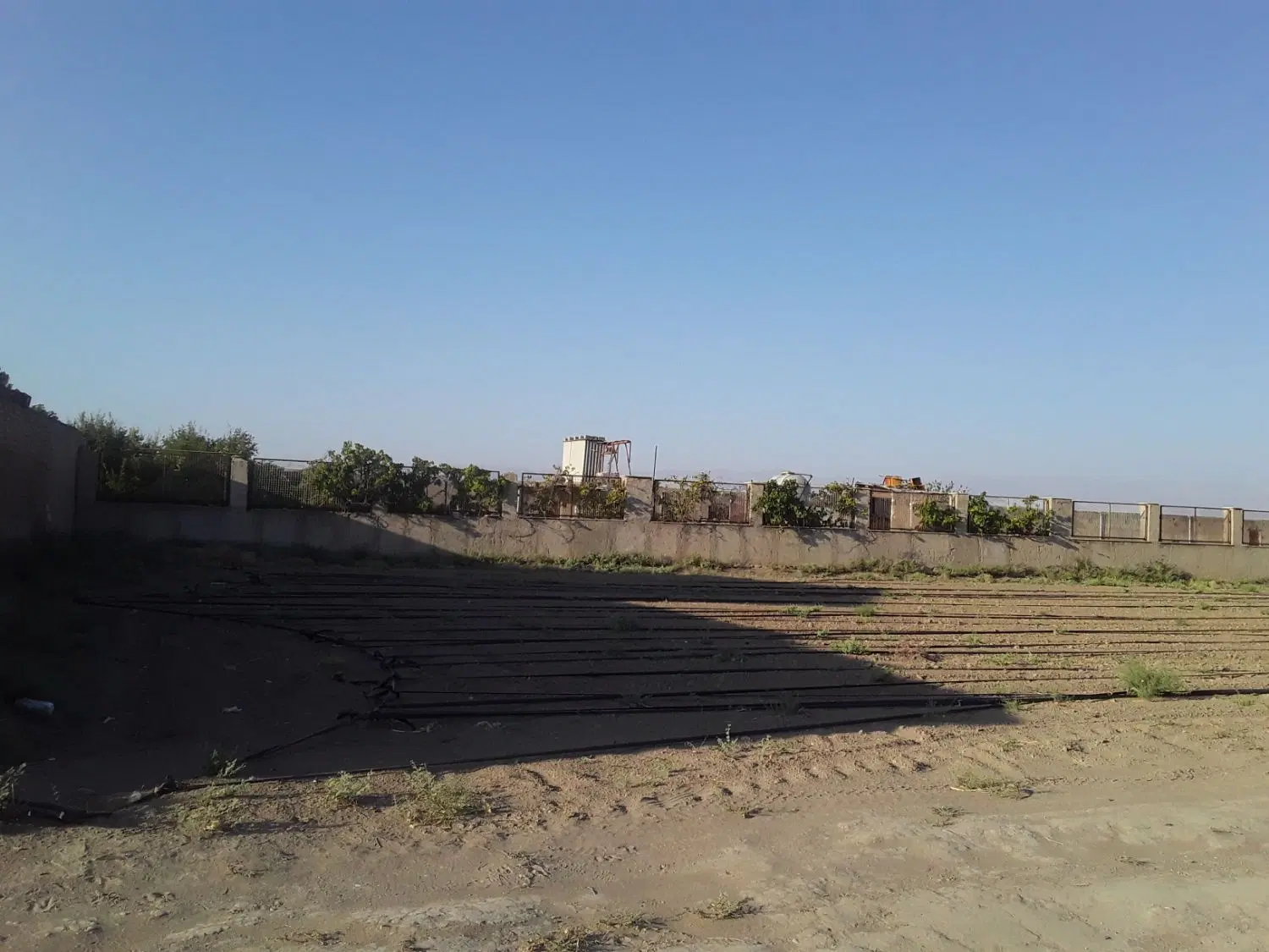 ۳۰۰۰متر زمین زراعی