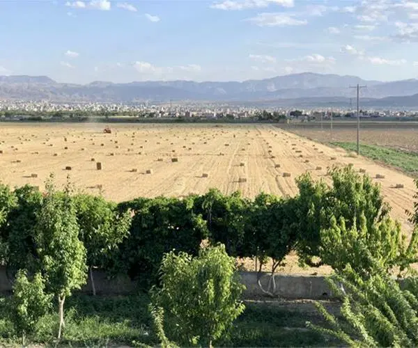 زمین هکتاری