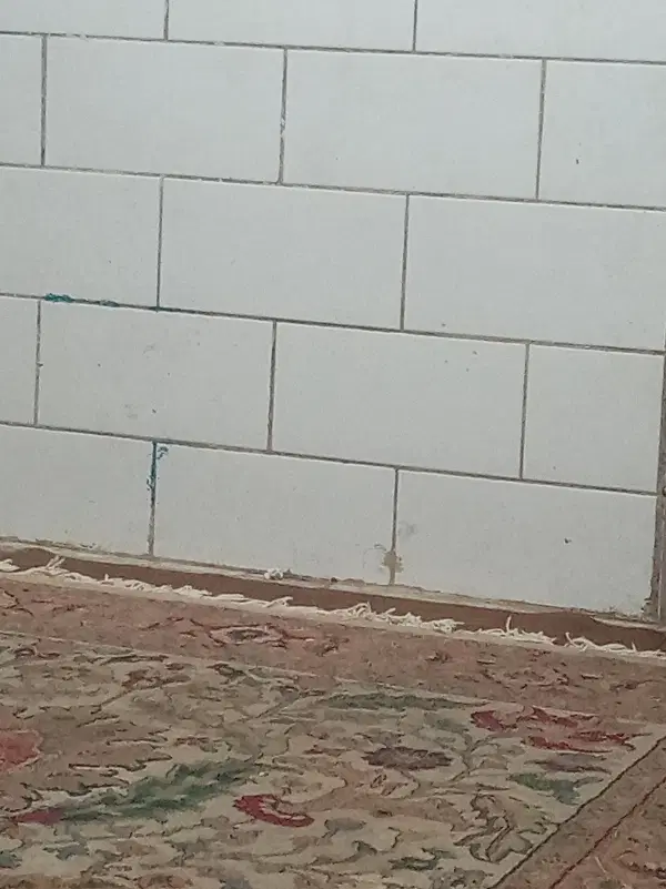شیش نیم زمین باغ ریاضی به فروش میرسد