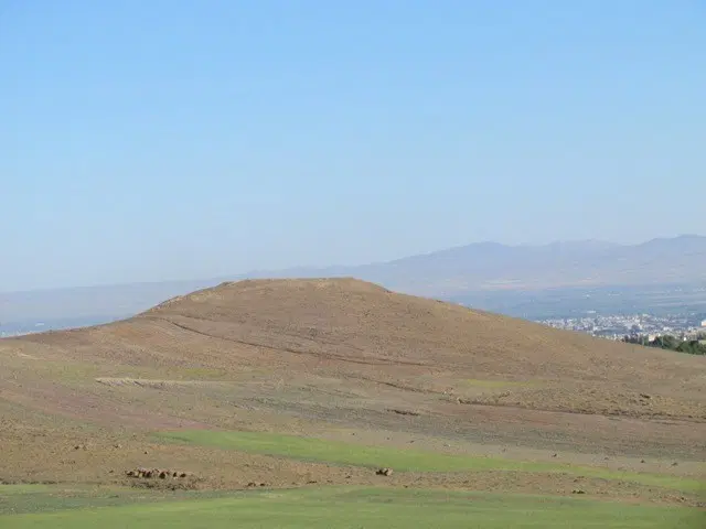 زمین کشاورزی