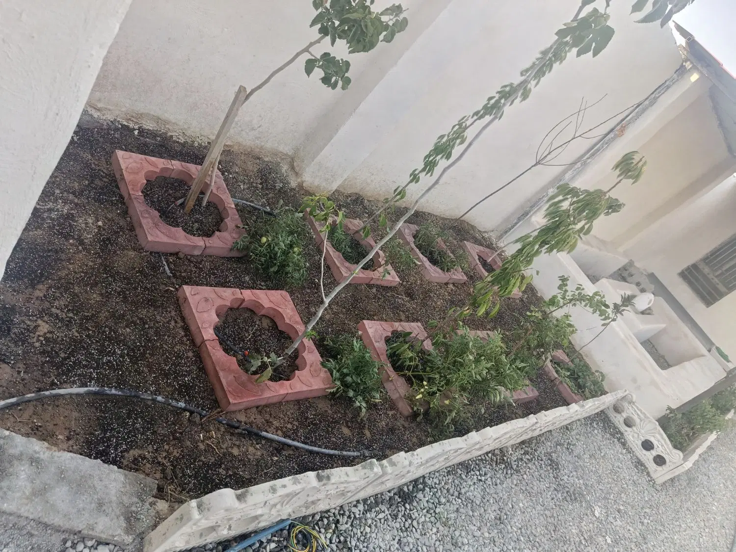 باغ ویلا فوری فروشی
