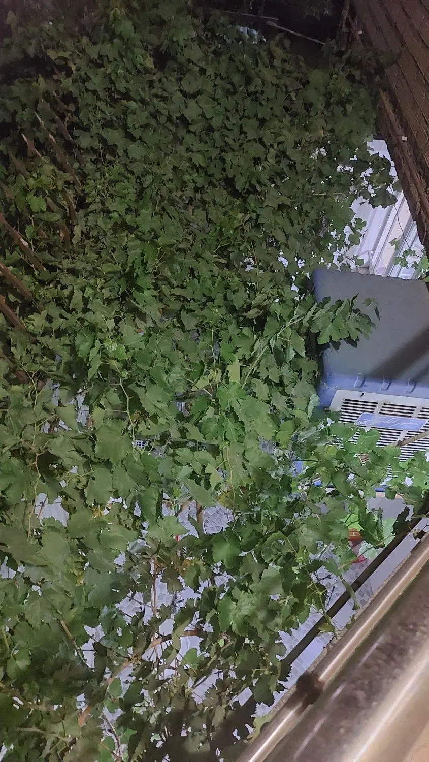 اجاره واحد مسکونی دو خوابه مستقل