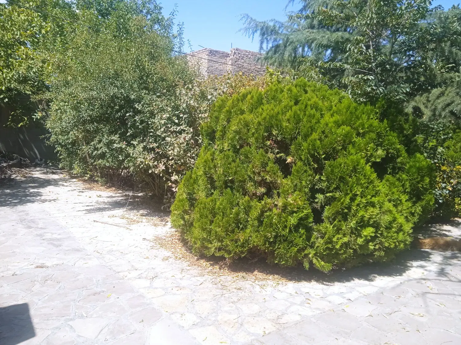 خونه ویلای متراژ ۶۵۰با تمام امتیازات مناسب خانواده