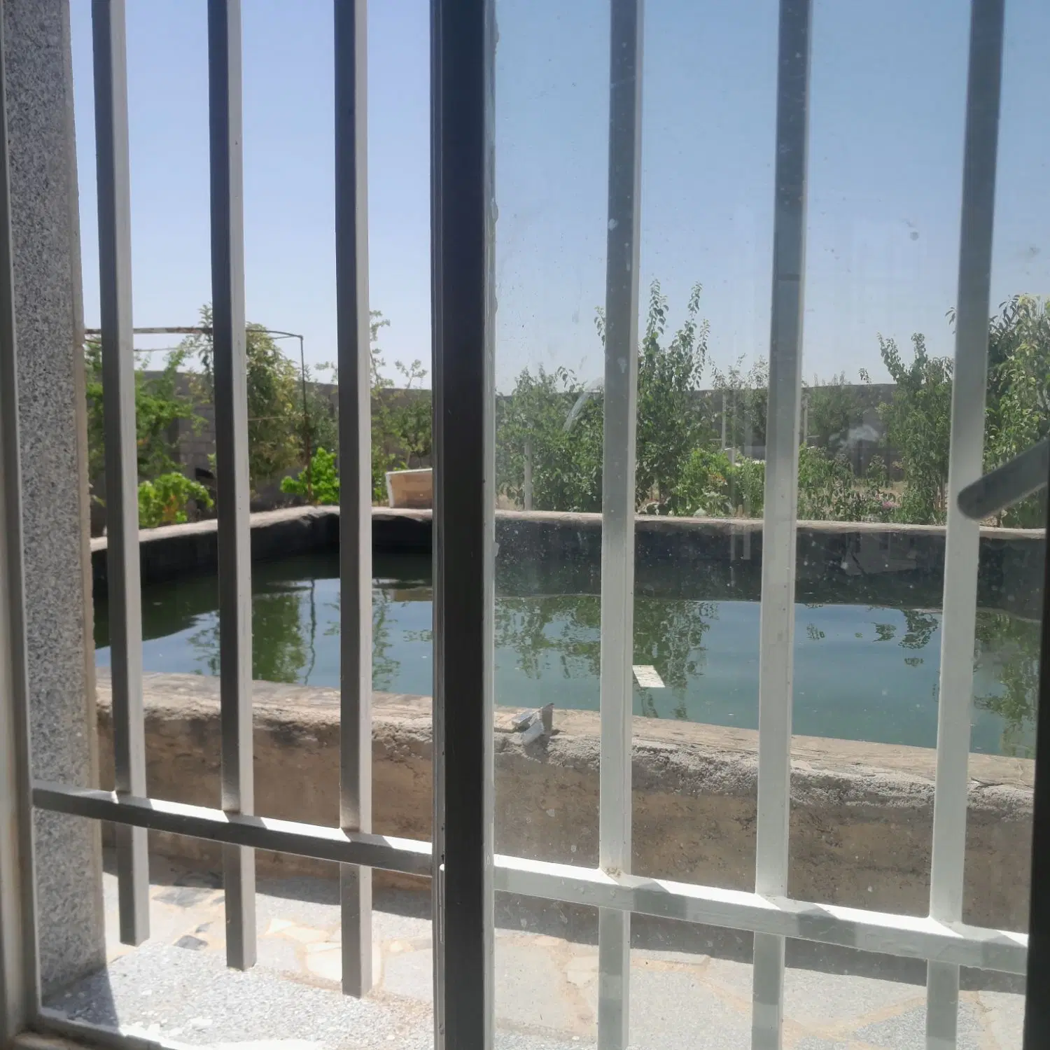 فروش باغ